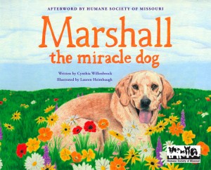 "Marshall The Miracle Dog"